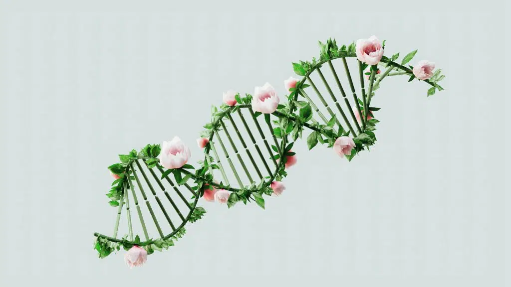 forensic genetic genealogy