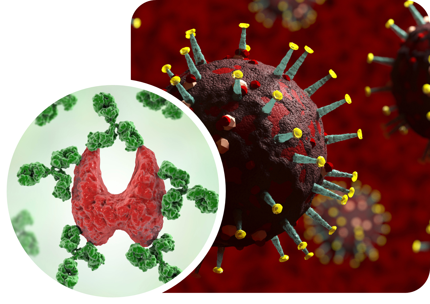 Serology test blood serum serological test meaning microbiology