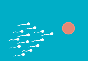 how to Improve Sperm Health