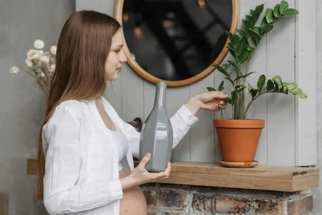 Pregnancy Skin Care