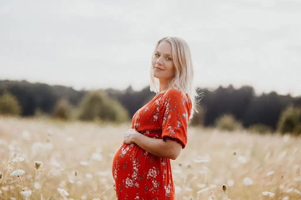 Pregnancy Diet Chart Month by Month