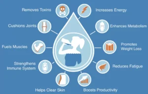 The Role of Hydration in Maintaining Good Health BY Dr. Sandwip Talukdar