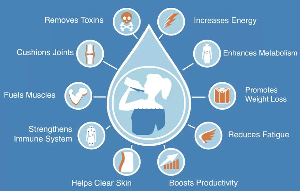 The Role of Hydration in Maintaining Good Health BY Dr. Sandwip Talukdar